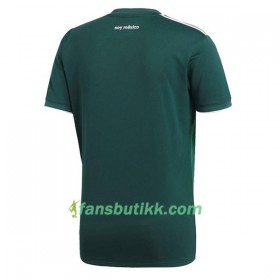 Fotball-VM 2018 Mexico drakt Hjemmetrøye